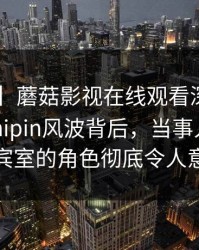 【震惊】蘑菇影视在线观看深度揭秘：mogushipin风波背后，当事人在机场贵宾室的角色彻底令人意外