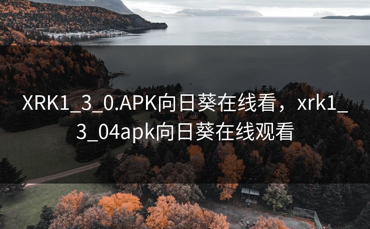 XRK1_3_0.APK向日葵在线看，xrk1_3_04apk向日葵在线观看