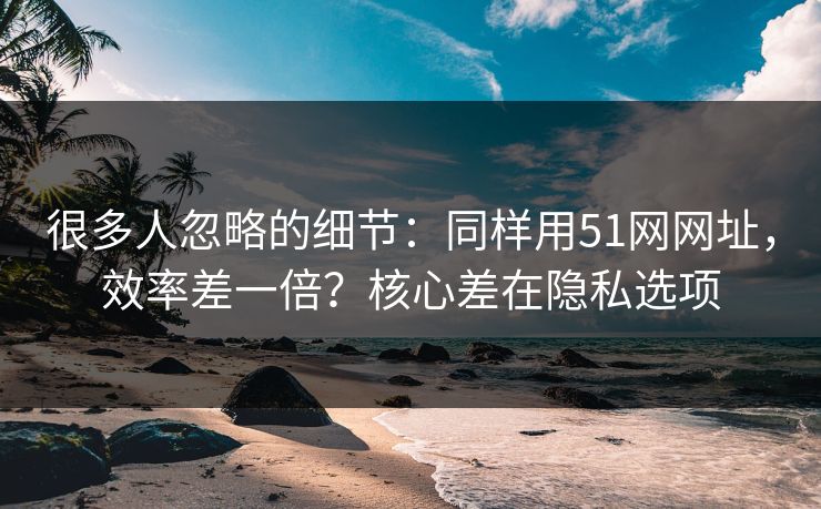很多人忽略的细节：同样用51网网址，效率差一倍？核心差在隐私选项